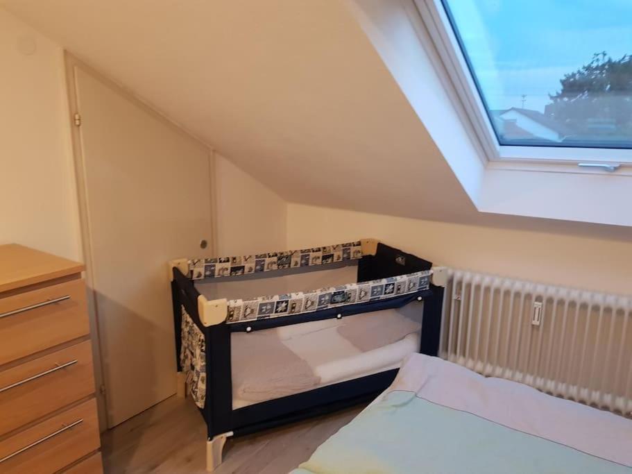Gemuetliche Wohnung Bei Bad Waldsee Mit Balkon 외부 사진