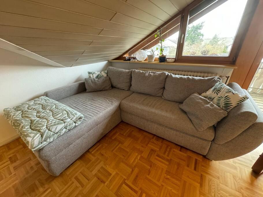 Gemuetliche Wohnung Bei Bad Waldsee Mit Balkon 외부 사진